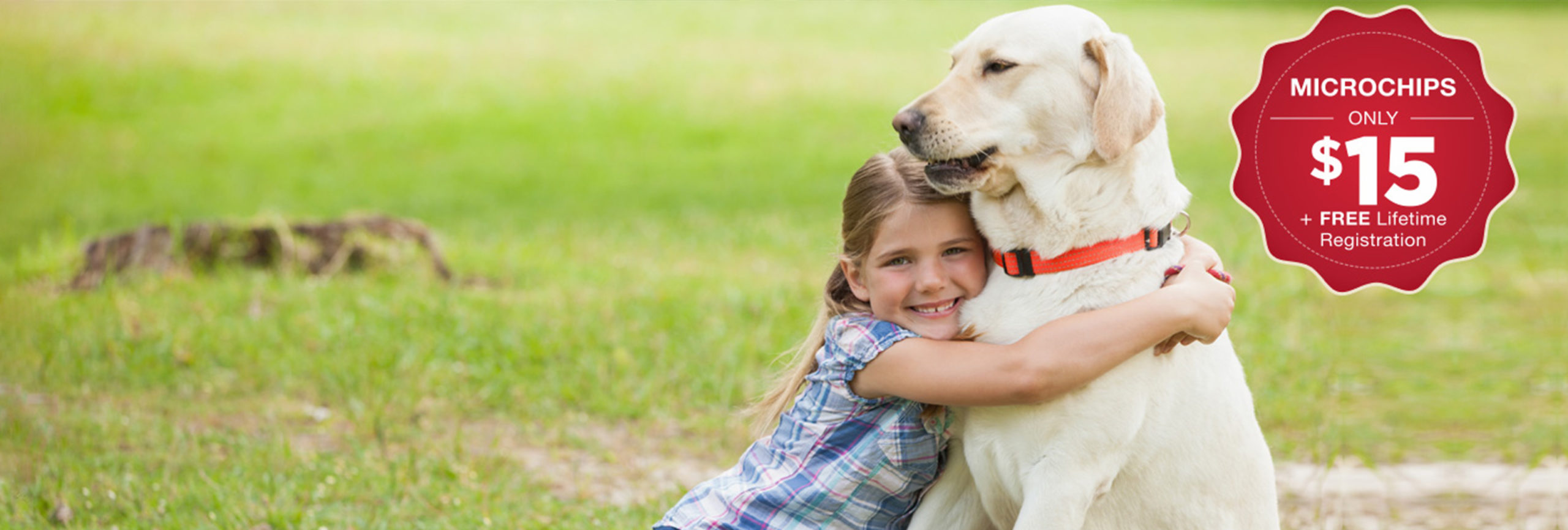 Microchipping | Bee Ridge Veterinary Clinic | Local ...